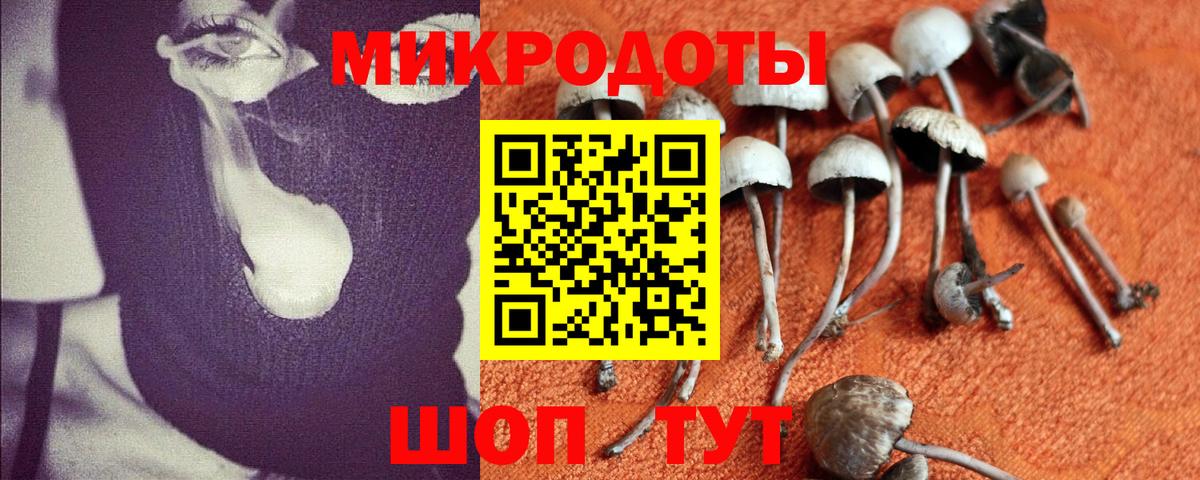 наркотики  Галлюциногенные грибы Cubensis  Ногинск  Вход с VPN  Псилоцибиновые грибы мухоморы 