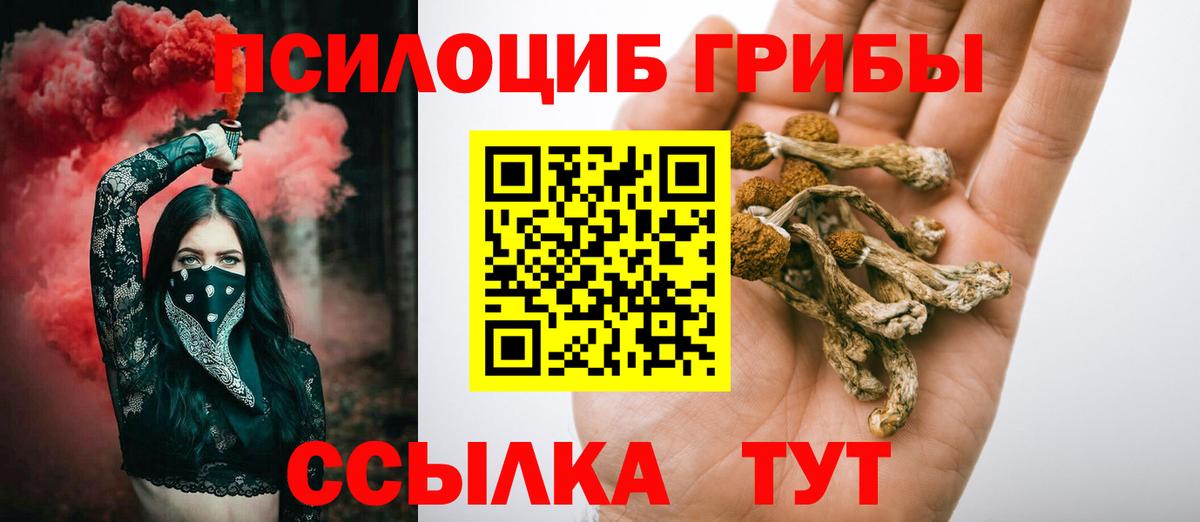 Галлюциногенные грибы Psilocybe Ногинск